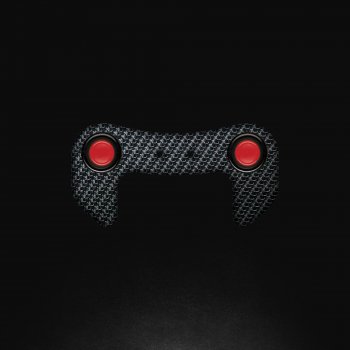 CARBON FIBER WHEEL PLATE